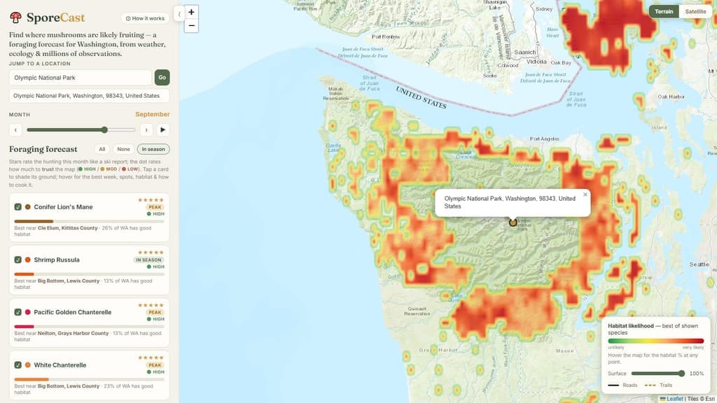 SporeCast zoomed to Olympic National Park showing chanterelle habitat likelihood